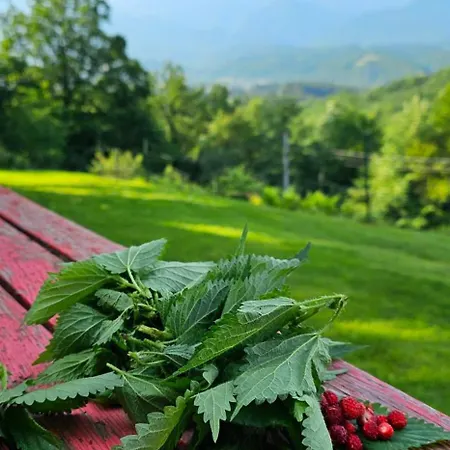 Apriltsi Hills Apriltsi (Lovech)