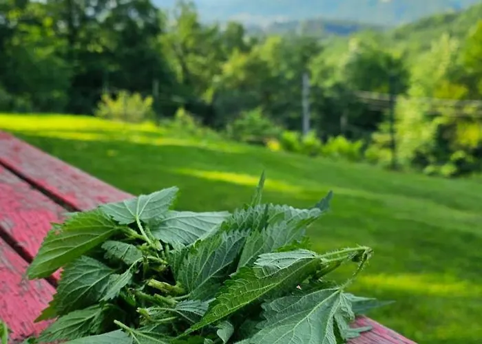 Apriltsi Hills 阿普里尔齐
